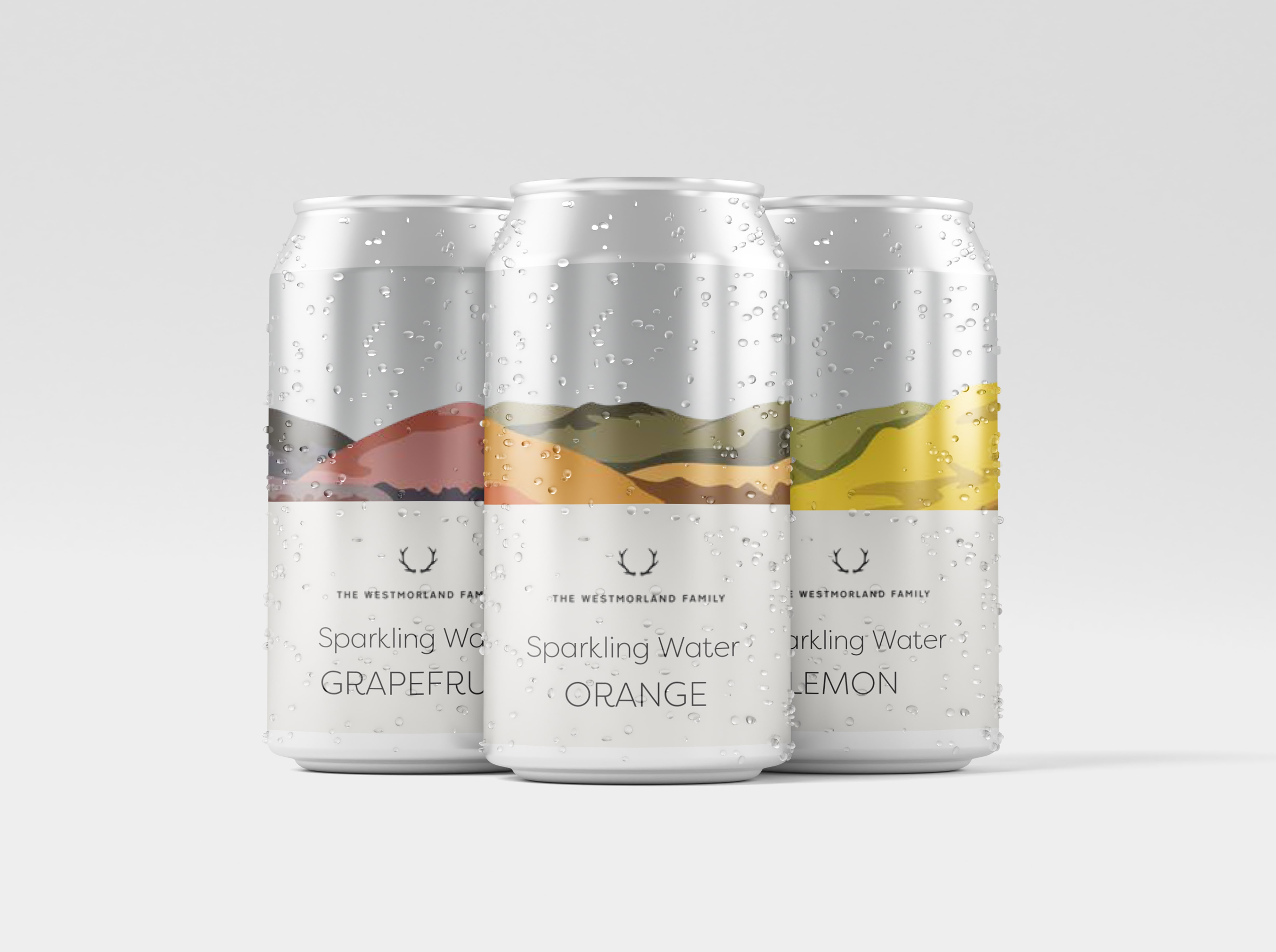 final can designs